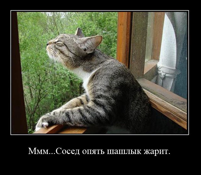 Скачать песню будет у нас с тобой шашлык