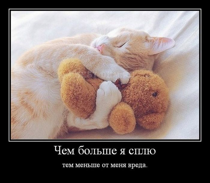 Опубликованное фото