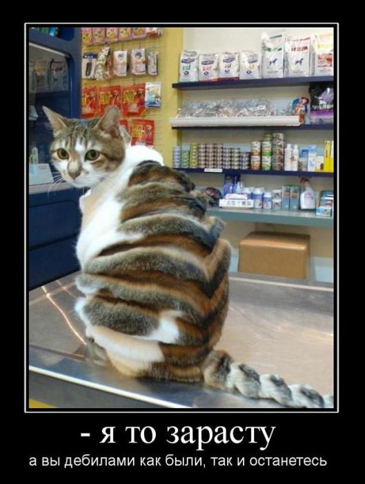 Опубликованное фото