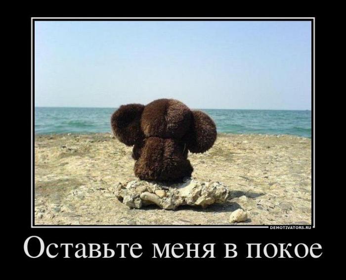 Статус что оставили меня в покое Статус что оставили меня в покое