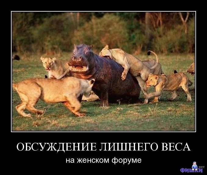 ab267a07bdcbddbdef23ed9cc34b2ba4.jpg