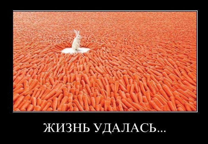 Стих как жизнь удалась Стих как жизнь удалась