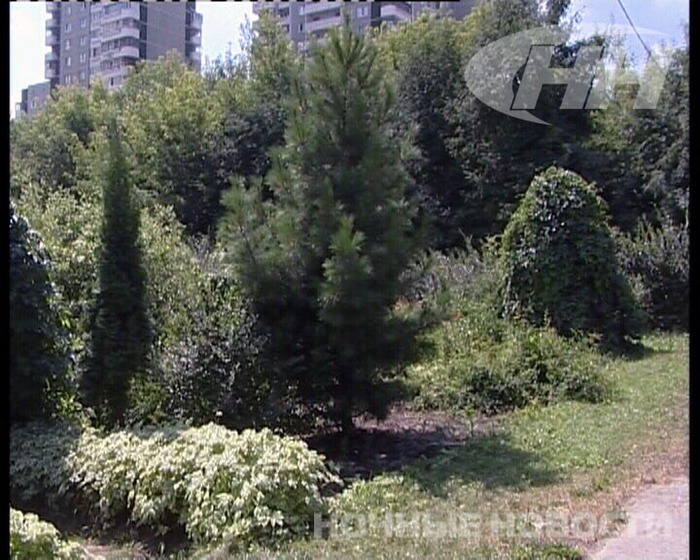 Программа взлома игр алавар скачать.