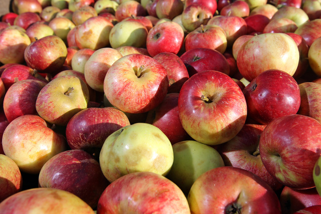 Эксперт: Яблоки в России к концу года могут подорожать на 30-40%