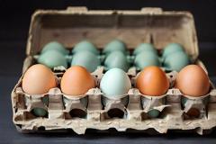 Свалка протухших куриных яиц обнаружена в Омске