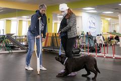 В Екатеринбурге начали обучать собак-терапевтов