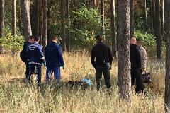 Не могут опознать: в свердловском лесу нашли тело мужчины