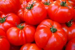 Зараженные помидоры обнаружены в Свердловской области