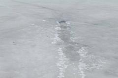 В Москве в карете скорой помощи скончалась женщина, провалившаяся под лед пруда