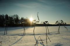 В Свердловской области за сутки температура будет колебаться в пределах 20 градусов
