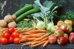 Минэкономразвития: овощи и фрукты подешевеют на 80% в сентябре