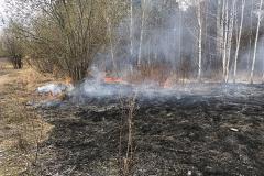 Свердловские власти рассказали, когда закончит действовать особый противопожарный режим
