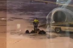 «Что по вежливости?»: в Кольцово засняли, как сотрудник аэропорта кидает багаж в снег