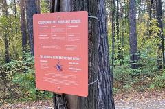 Свердловчанин впал в кому после похода в лес