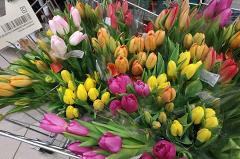 Украденную в Москве партию цветов к 8 марта нашли в Екатеринбурге