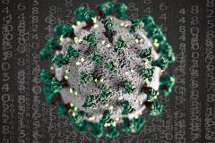 Медики из США и Китая заявили, что коронавирус поражает все органы человека, а не только его лёгкие