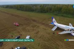 Посадившие самолет в поле под Новосибирском пилоты Ural Airlines потеряли работу
