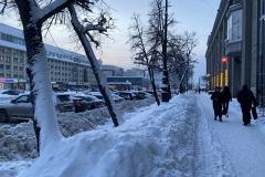 «В 90-е годы снег вывозили»: Чернецкий ответил главному по уборке Екатеринбурга