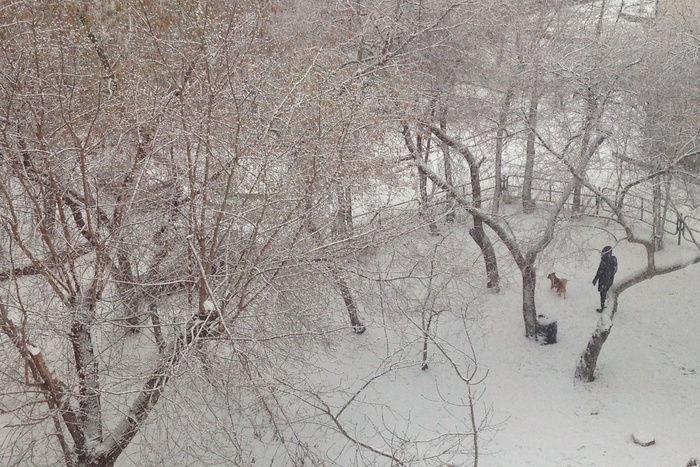 Екатеринбург опять накрыло снегом