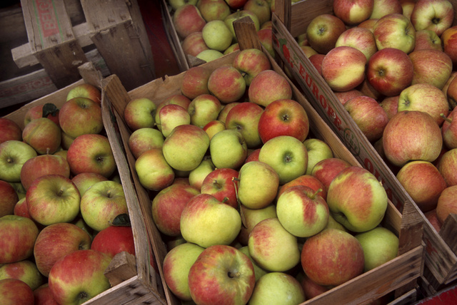 Эмбарго не действует. Польские яблоки свободно идут в Россию через Белоруссию