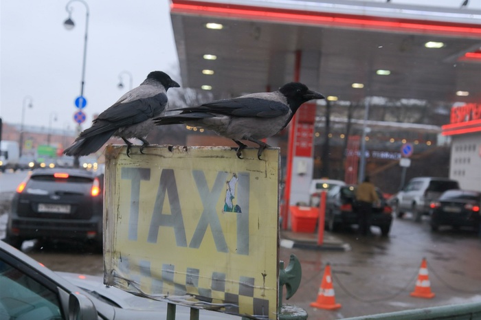 В Нижнем Тагиле таксисты устроили самосуд над не заплатившими пассажирами