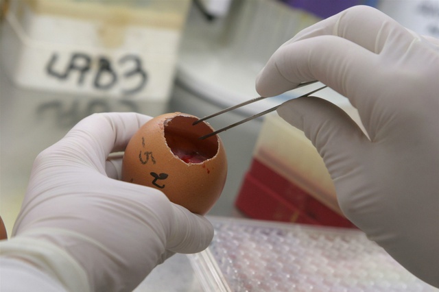 Уральскую вакцину против лихорадки Эбола в ближайшем времени начнут тестировать