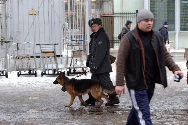 Свердловское СУ СК официально опровергло слухи о маньяке на Химмаше
