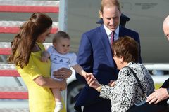 СМИ: Кэтрин предложила принцу Уильяму парик из альпаки