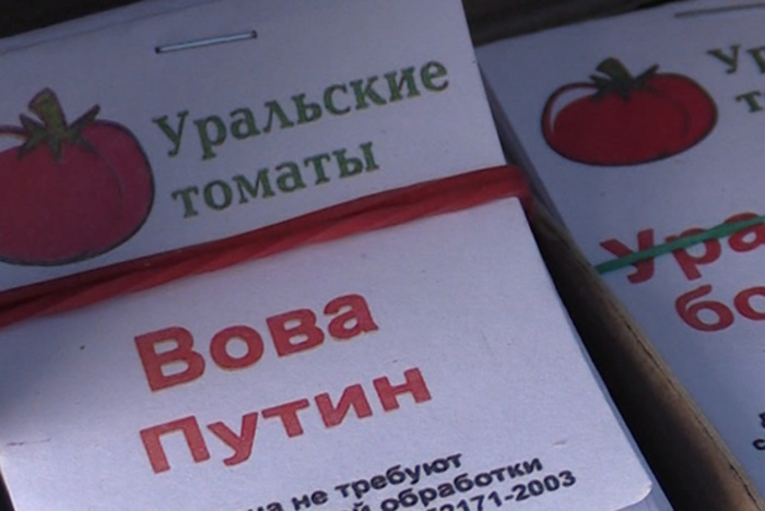Уральский селекционер вывел сорт томатов «Вова Путин»