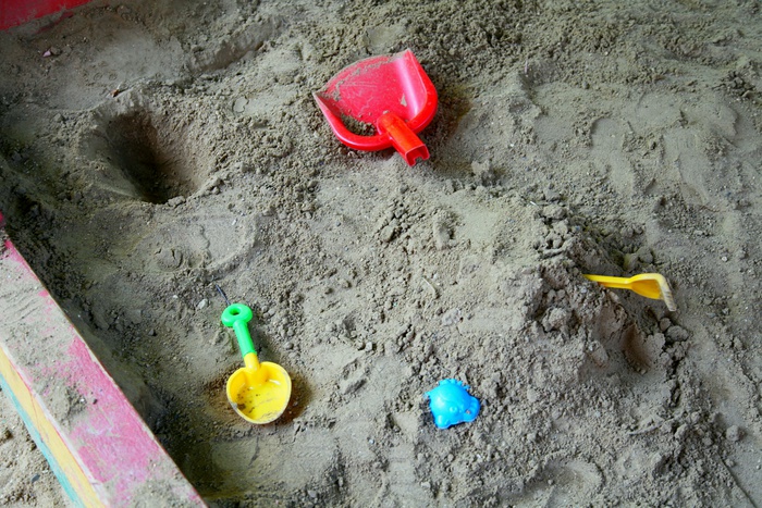 В Екатеринбурге неизвестные закопали труп кота в детской песочнице (ФОТО)
