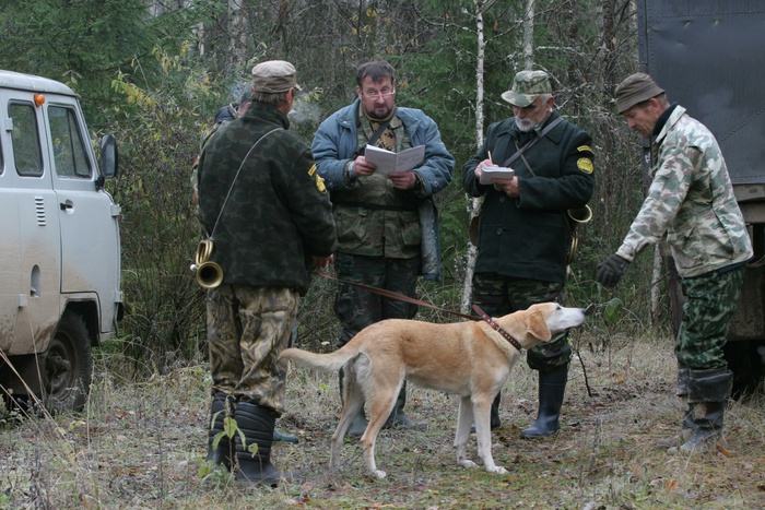 На Среднем Урале мужчина во время охоты на лося застрелил загонщика