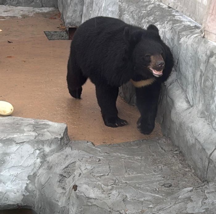 Фото: Telegram-канал @uralairlines_official