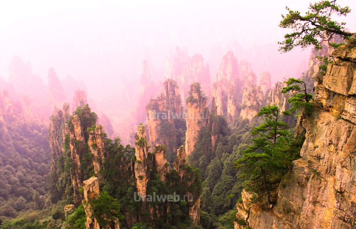 Скалы Улинъюань в национальном парке Чжанцзянце