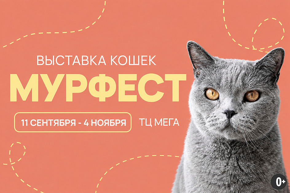 Источник: https://vk.ru/murfest_ekaterinburg