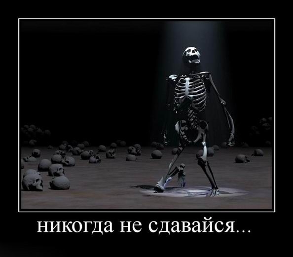 Картинки прикольные никогда не сдавайся, картинок