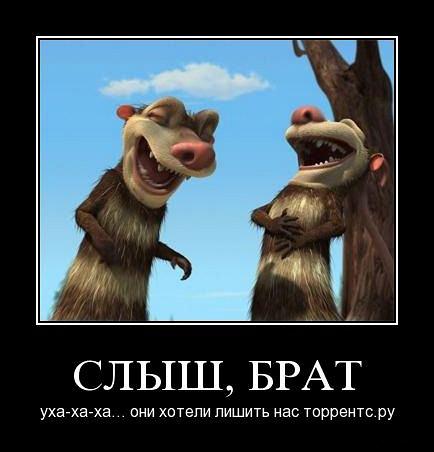 Картинки, это мой брат картинки прикольные