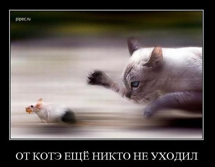 29c612b0fd9a15734ca5aa0ab0675002.jpg?159