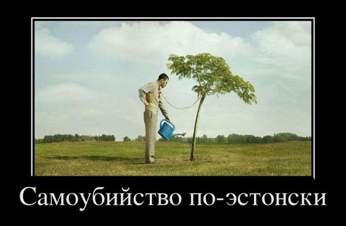 Картинки приколы самоубийство