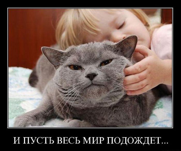 Открытки, и пусть весь мир подождет картинки романтические