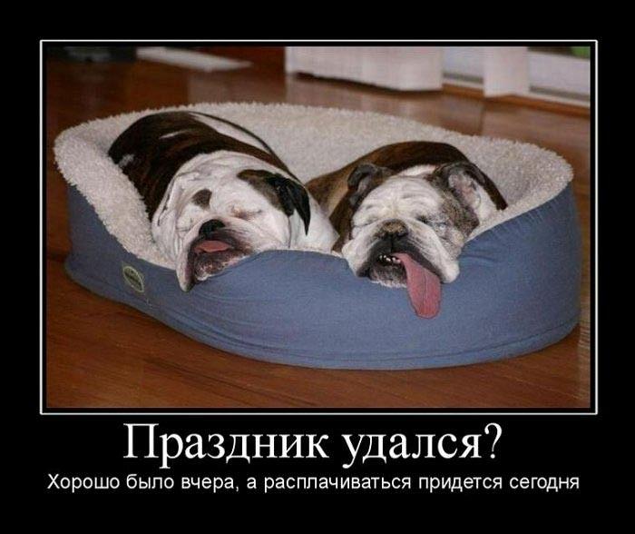 Выходные удались прикольные картинки, туннель