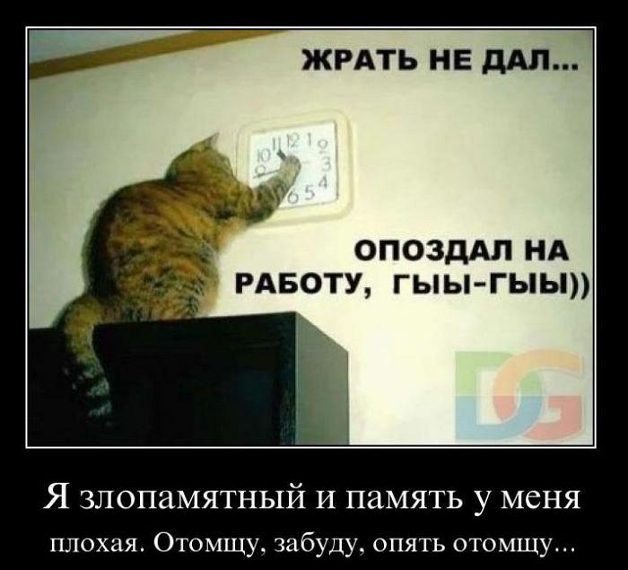 Открытка я не злопамятный, днем рождения года