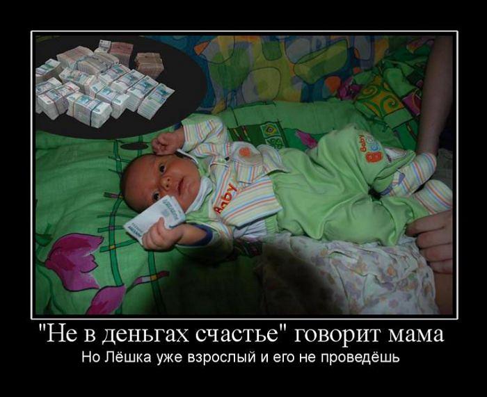 Смешные картинки не в деньгах счастье, сонный кот