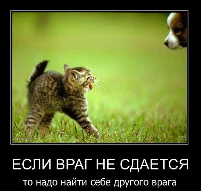 Картинки врагам прикольные, девушкой надписью супер