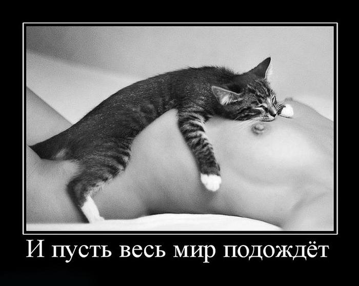 Картинка с шариками и надписью пусть весь мир подождет