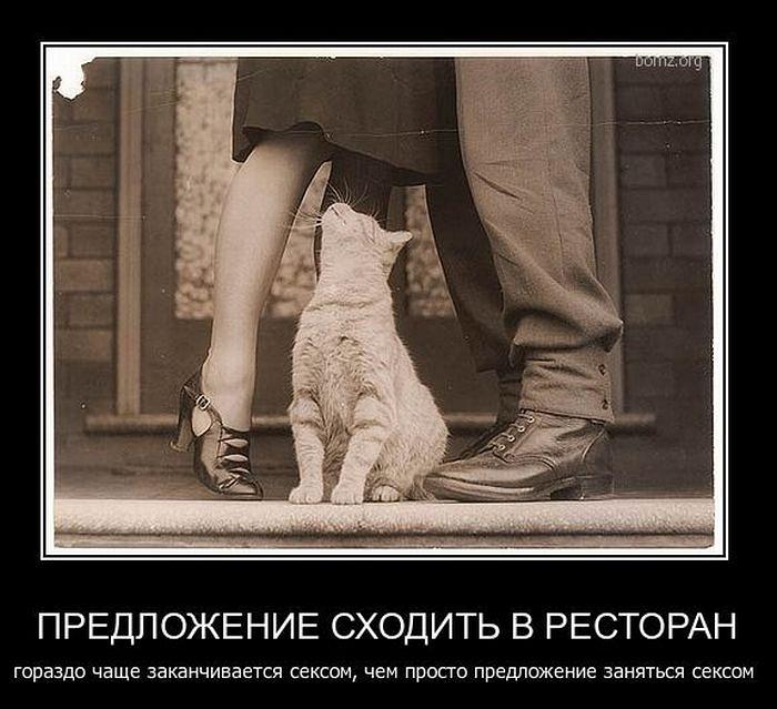 Демотиваторы в картинках про жизнь