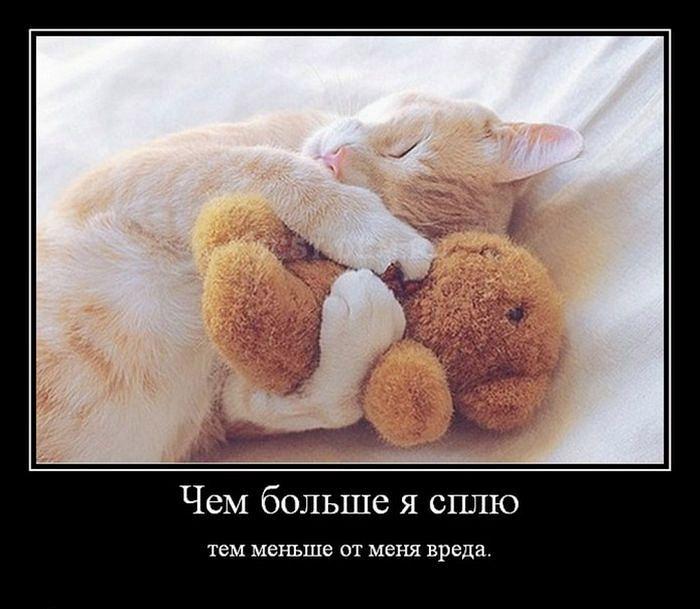 Дню, я сплю смешные картинки