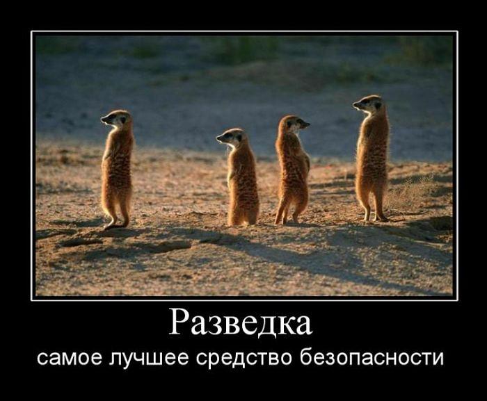 Разведка приколы картинки