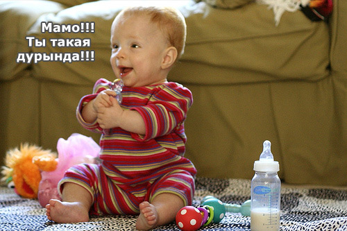 Как Выглядит Дурында