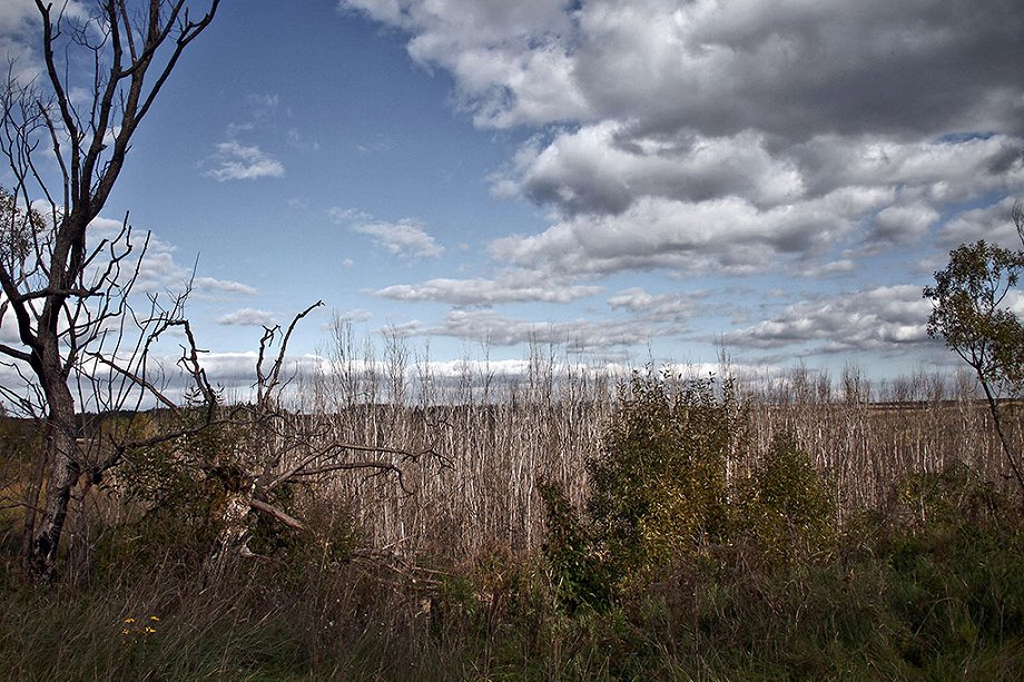 гиблое место. гиблое место 4. гиблое место 4. гиблое место. республика карелия.