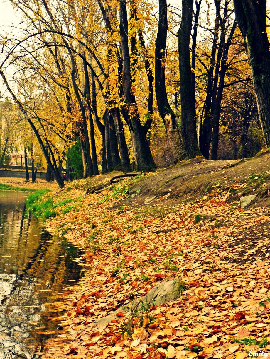 Золотая осень Екатеринбург